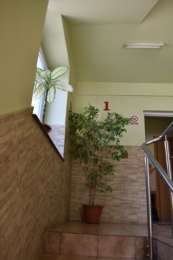 Отель Hotel Zimbru Клуж-Напока-25